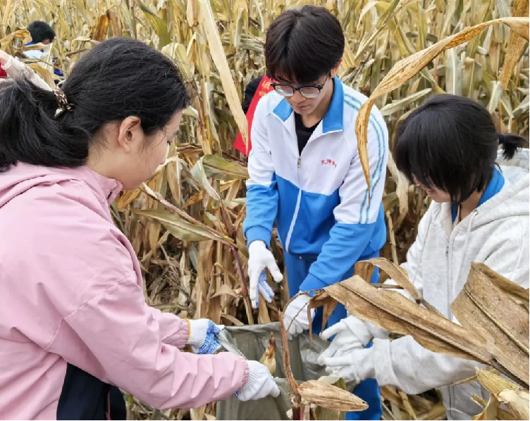 媒讯｜人民日报——“农场课堂”开讲了，感受田间地头的专业课——天津理工大学探索课程思政新路径